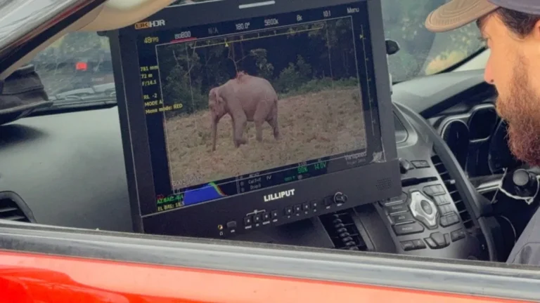 Filming event content