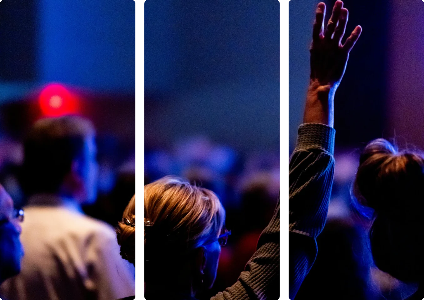 Audience at a live event, hand raised